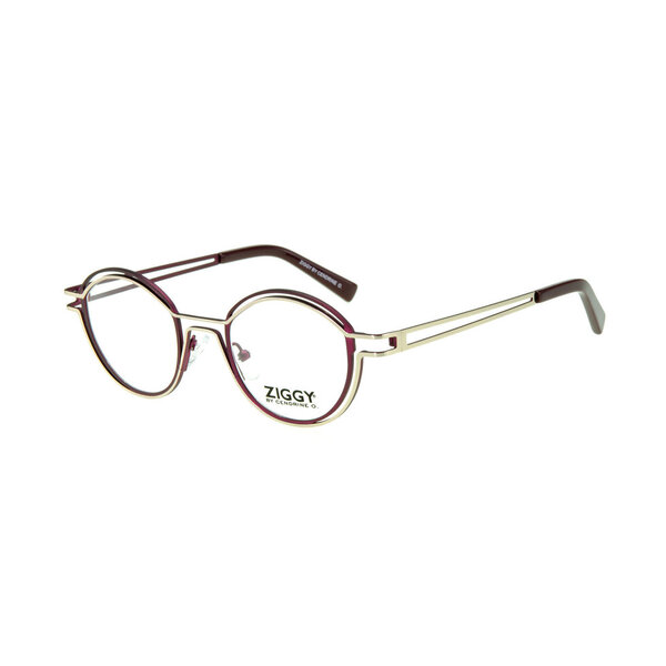 Ziggy - 2213 – C3