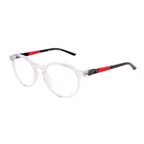 Demetz - EGEE 261349 – Cris/rou