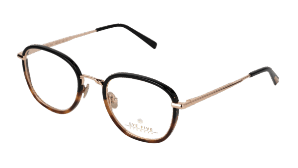 Eyesfive - E066A FUJI – C1