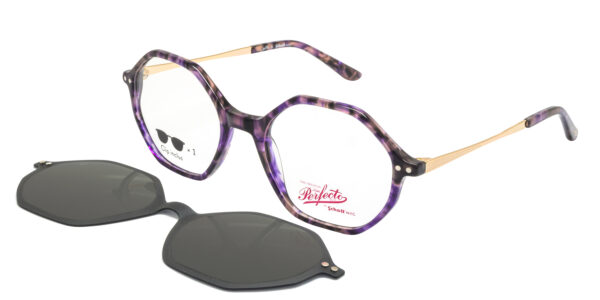 Schott - SCPL060 – Ecaille Violet Or
