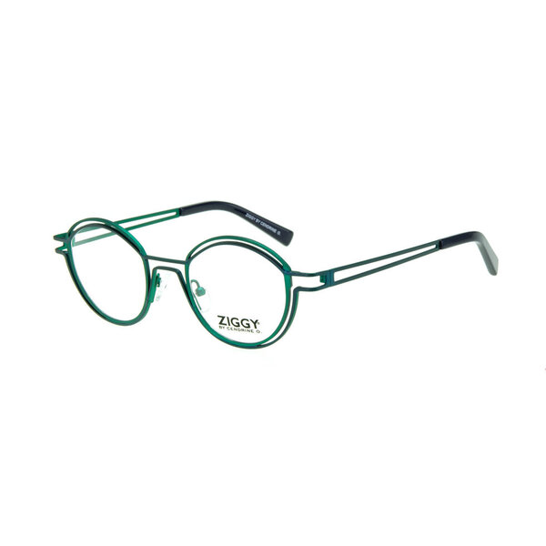 Ziggy - 2213 – C2