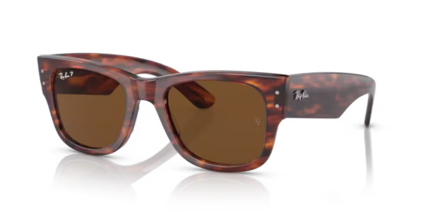 Ray-ban - RB0840S POLA – Striped Havana